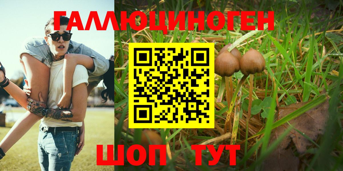 Галлюциногенные грибы MAGIC MUSHROOMS  Вход с VPN  Железноводск  Псилоцибиновые грибы мухоморы 